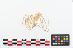 Foto von Goldspiralring (NHMW-PRAE-025712)